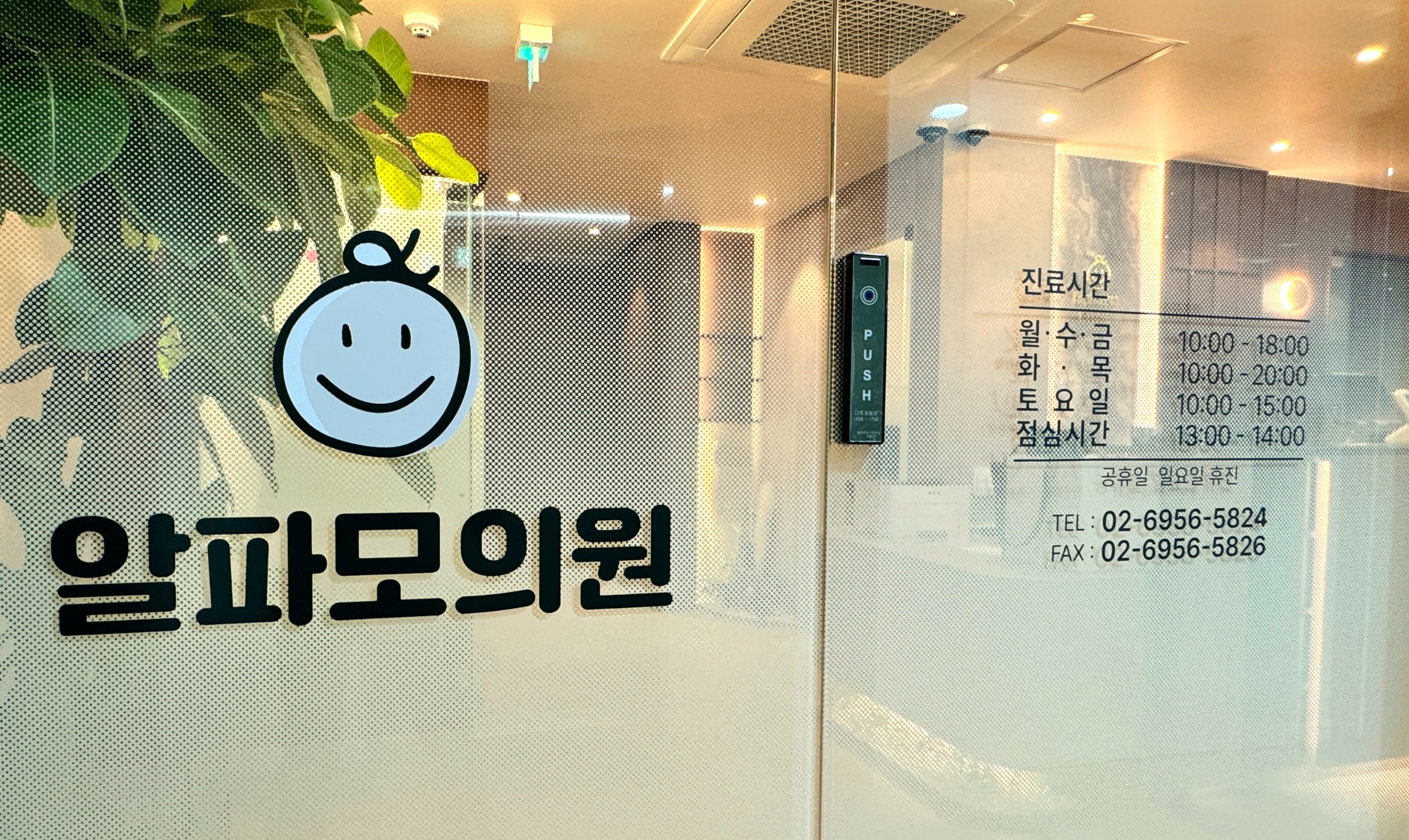 강남역 모발이식 잘하는 병원